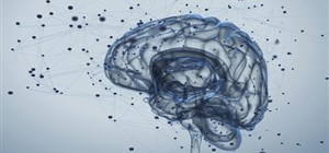 Distinguishing Autism in Children vs Sensory Processing Disorder