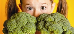 The Importance of Early Childhood Development, Diet and Exercise